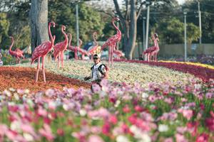 BIB: 
                            <button type="button" onclick="openModal(27344121)" class="btn btn-primary btn-sm float-right btn-popup" data-toggle="modal" data-target=".modal-high-quality">
                        <i class="fas fa-shopping-cart"></i> Add to Cart
                    </button>
                                            <button type="button" onclick="isThisMe(27344121, true)" class="btn btn-success btn-sm float-right btn-popup btn-isme hidden" data-toggle="tooltip" data-placement="bottom" title="นี่คือรูปของคุณใช่ไหม คลิกที่นี่เพื่อเอาเข้าอัลบั้ม">
                        <i class="fas fa-plus"></i> Add to album
                    </button>
                    <button type="button" onclick="isThisMe(27344121, false)" class="btn btn-warning btn-sm float-right btn-popup btn-isnotme hidden">
                        <i class="fas fa-ban"></i> Remove from album
                    </button>